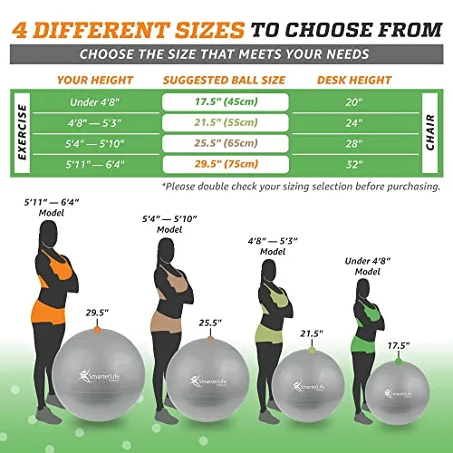 SmarterLife Workout Exercise Ball for Fitness Yoga Great as Yoga Ball 75 cm Silver