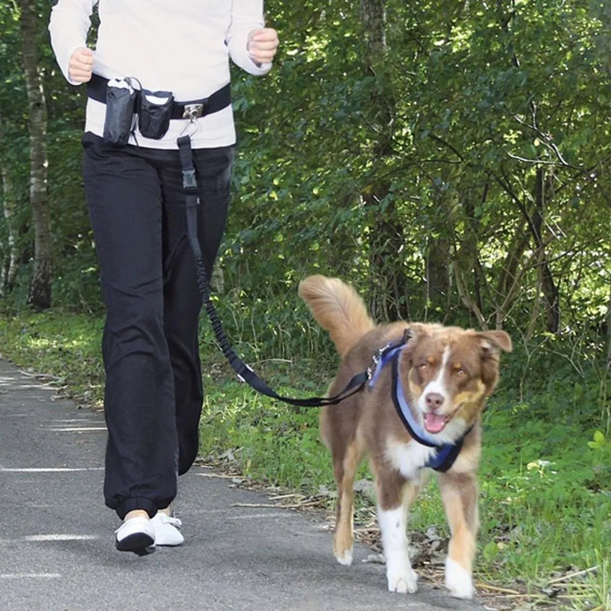 Trixie | Dog Activity | Cani-Cross Dog Exercise Belt & Lead